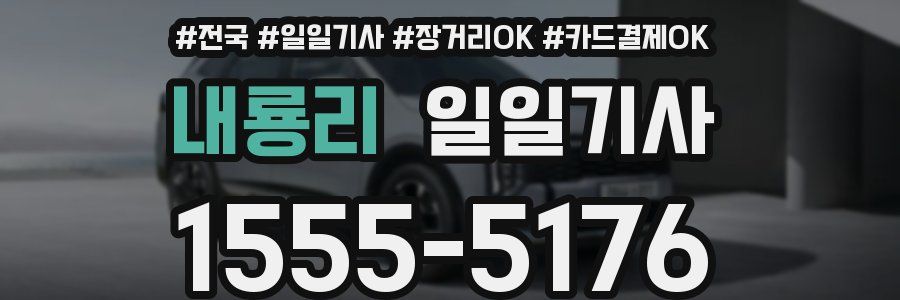 내룡리 일일기사