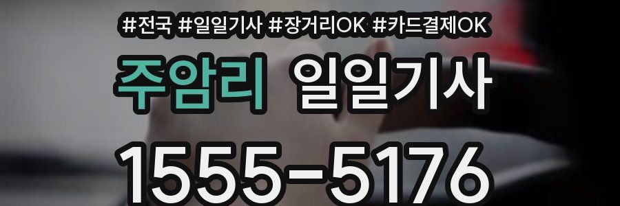 주암리 일일기사