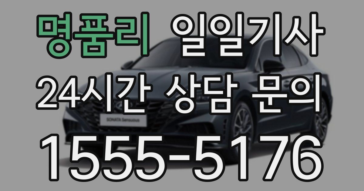 일일대리기사