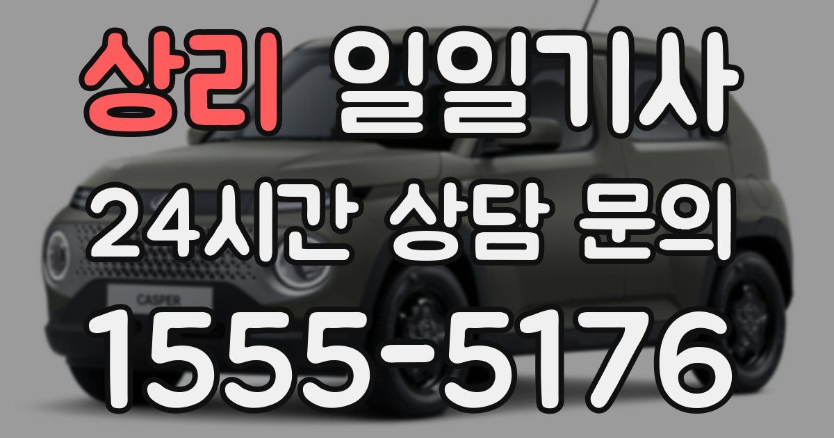 일일대리기사