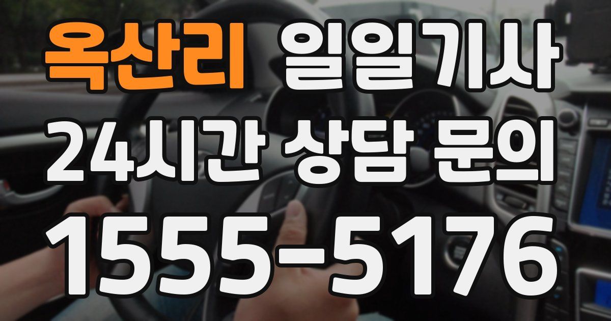 일일대리기사