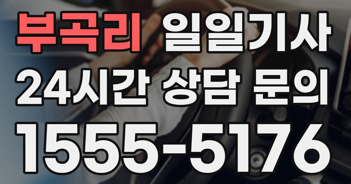 일일대리기사
