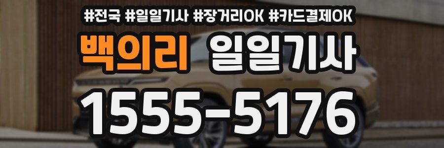 백의리 일일기사