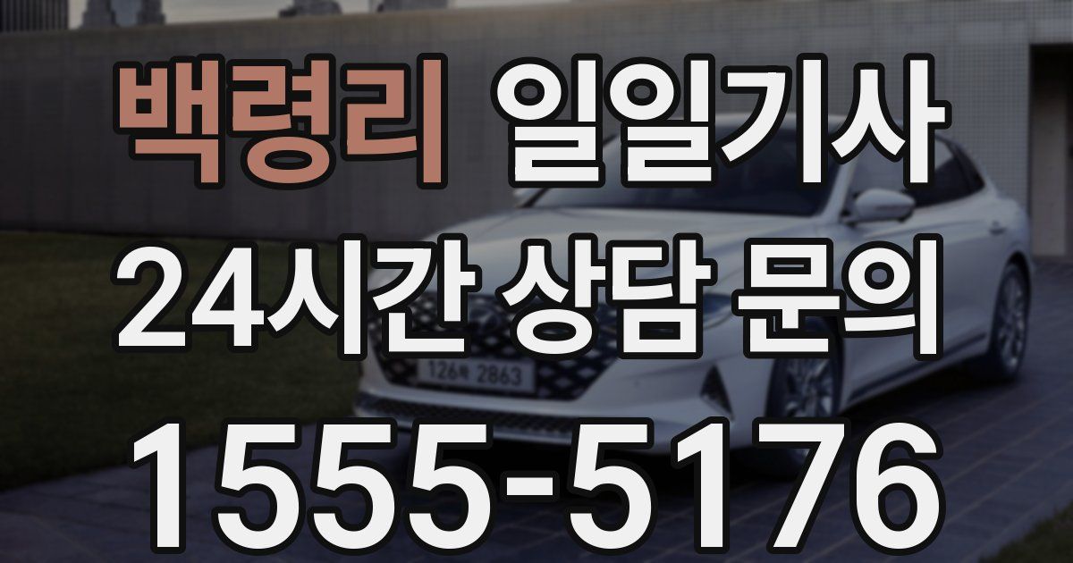 일일대리기사