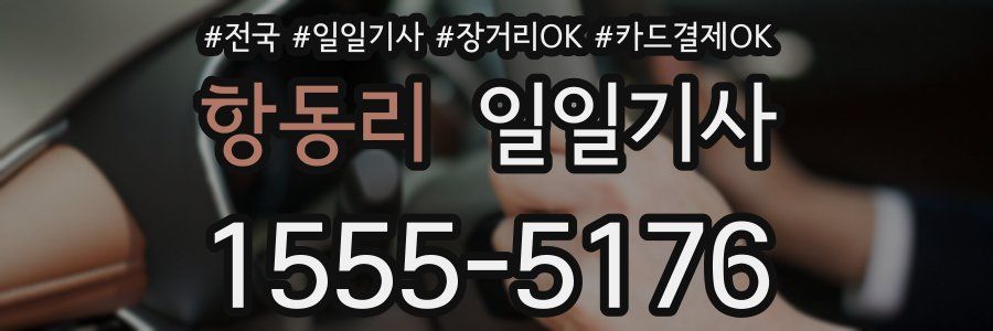 항동리 일일기사