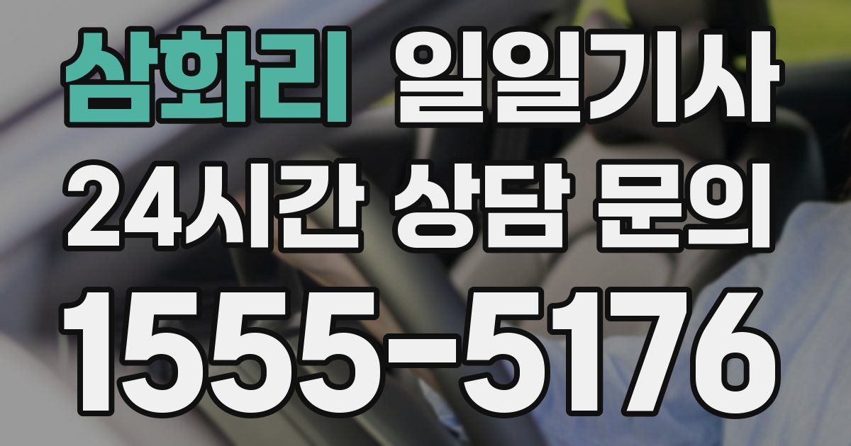 일일대리기사