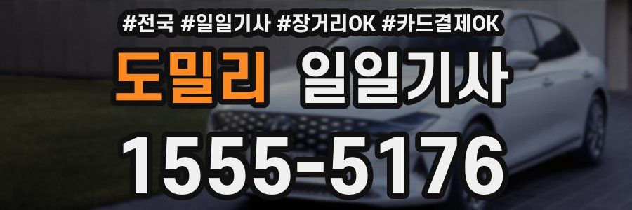 도밀리 일일기사