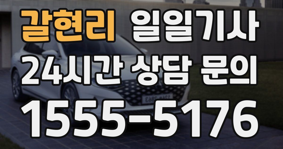 일일대리기사