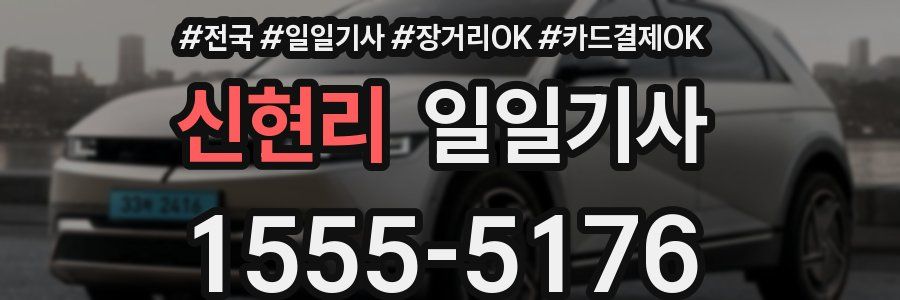 신현리 일일기사
