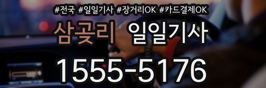 삼곶리 일일기사