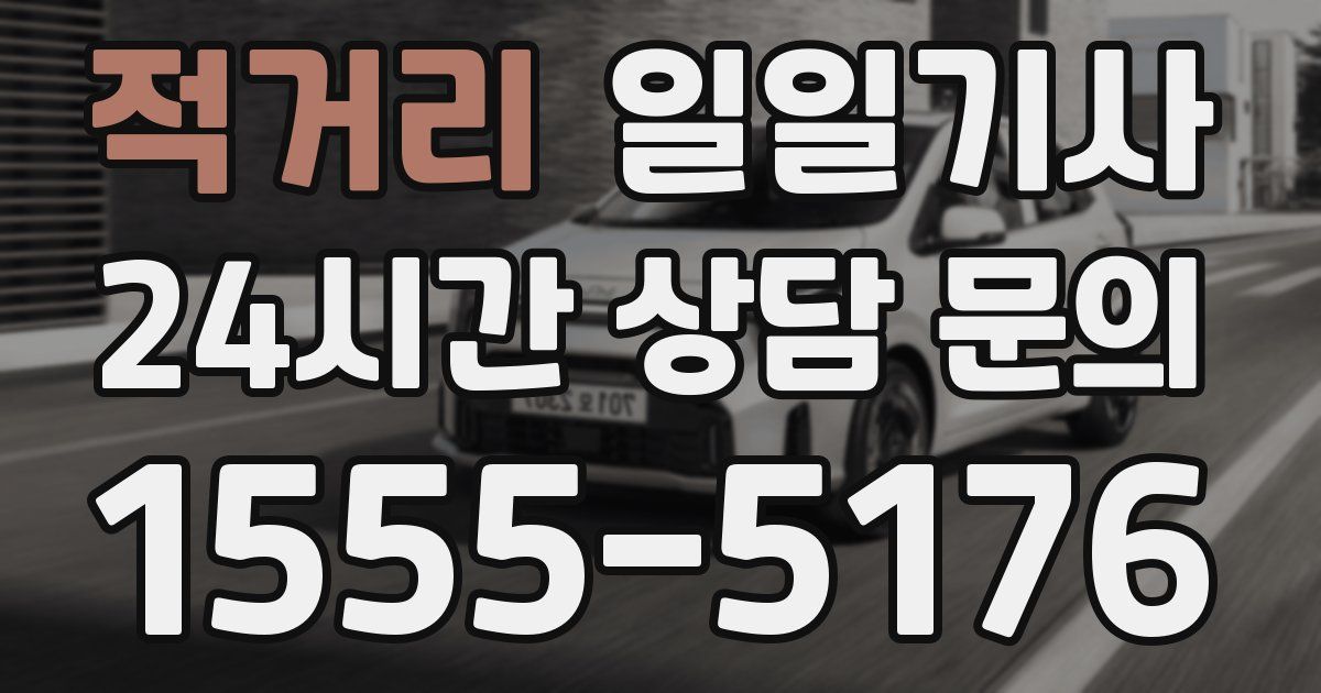 일일대리기사