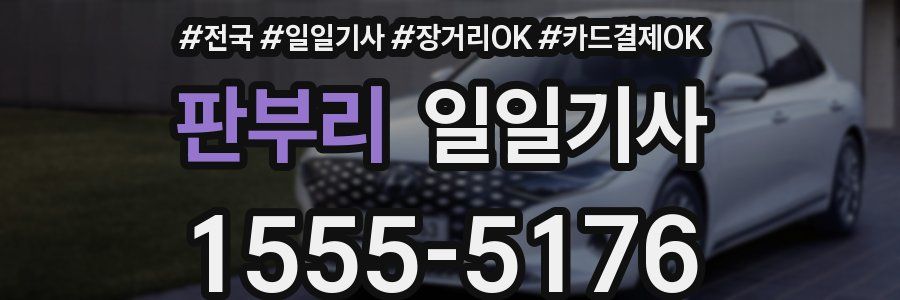 판부리 일일기사