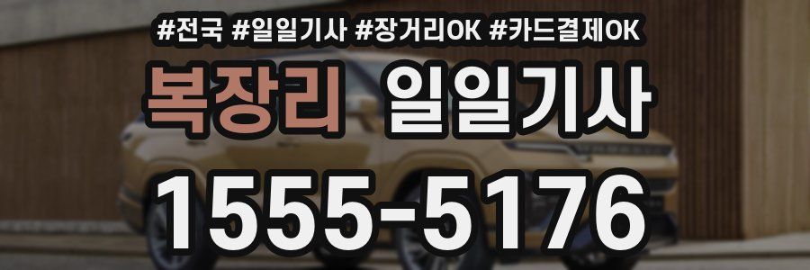 복장리 일일기사