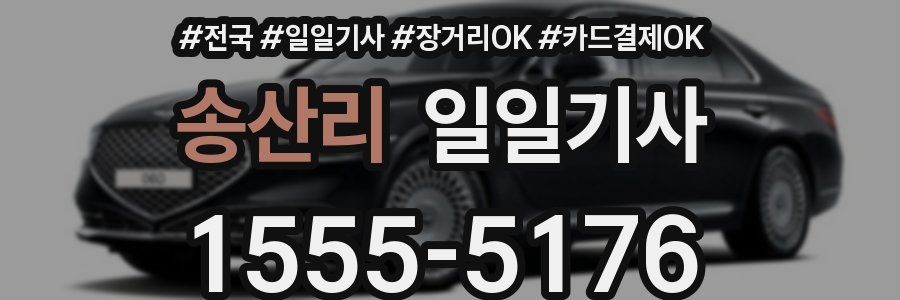 송산리 일일기사