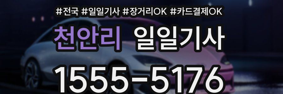 천안리 일일기사