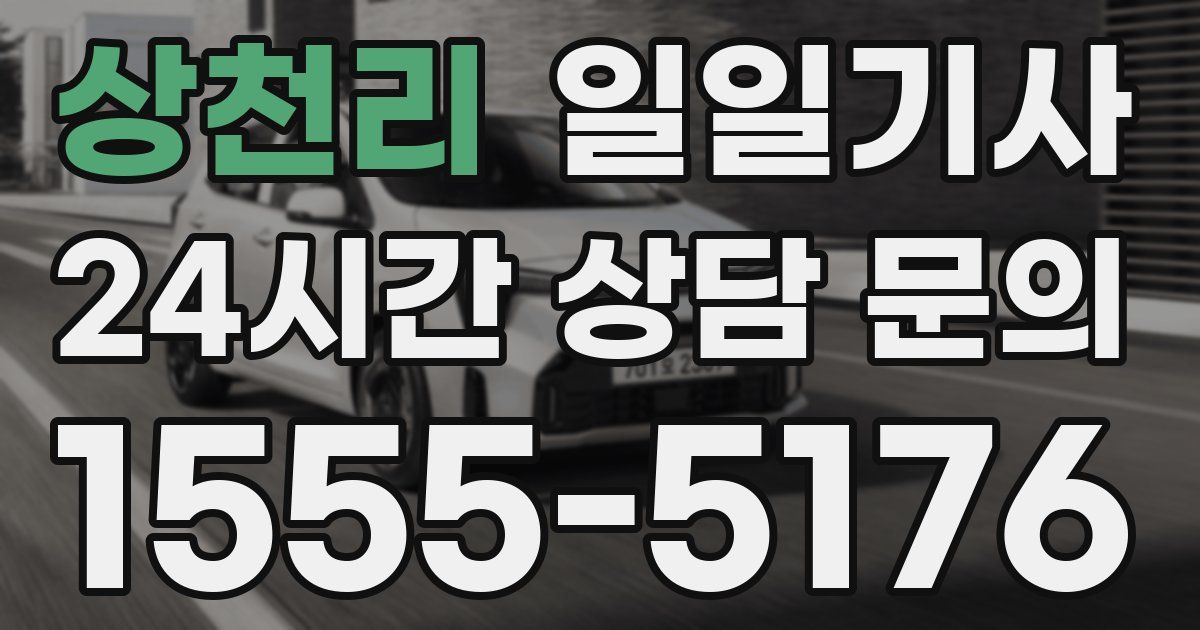 일일대리기사