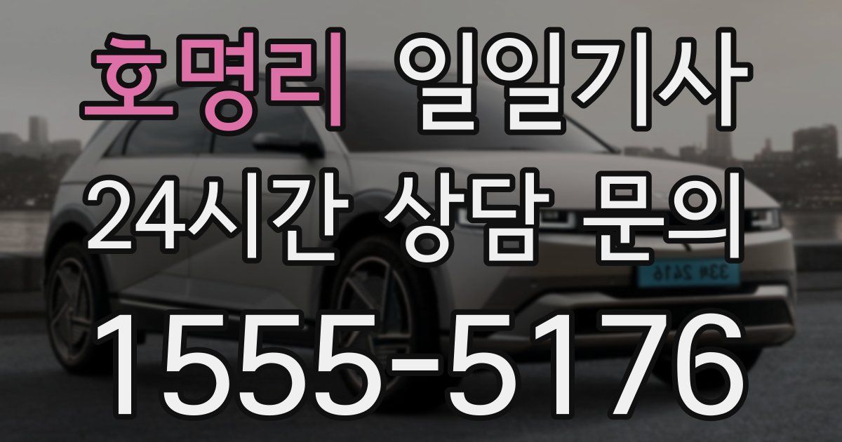 일일대리기사