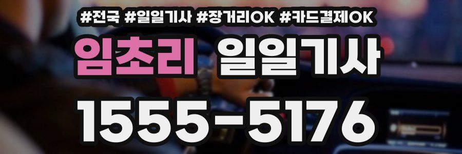 임초리 일일기사