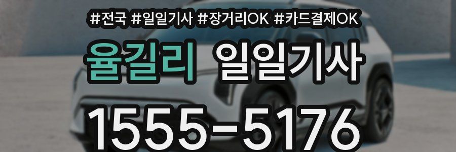 율길리 일일기사