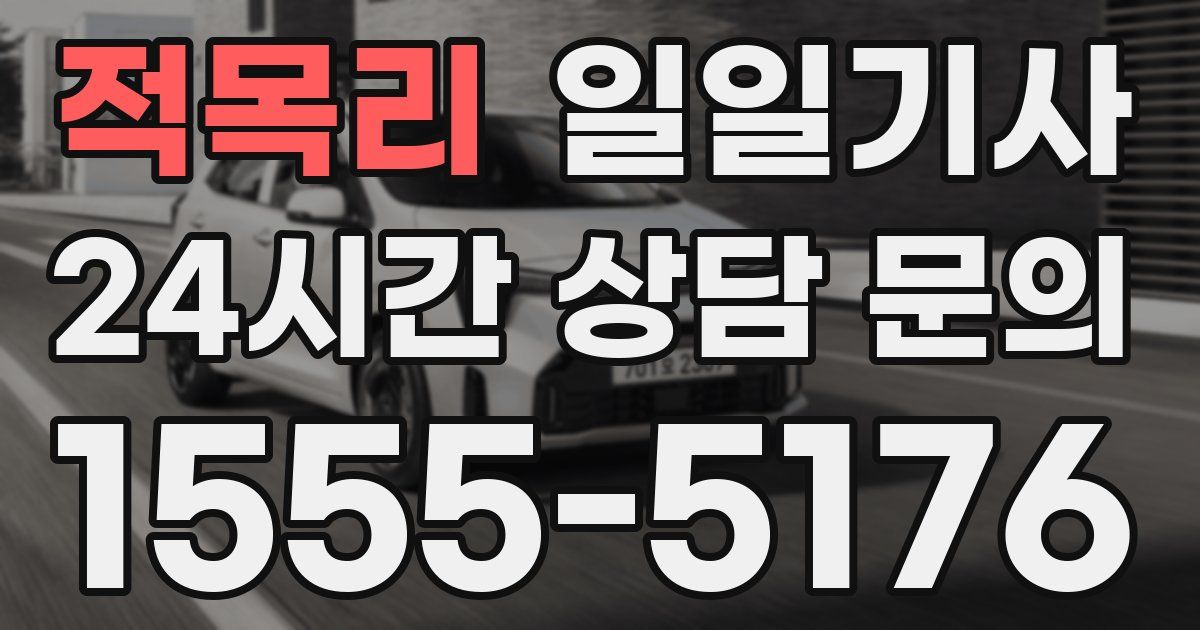 일일대리기사