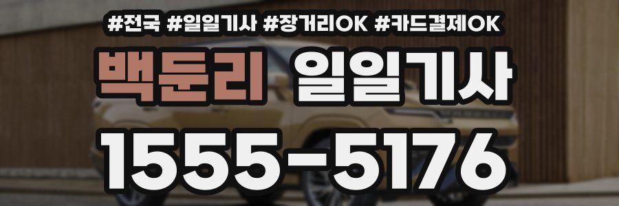 백둔리 일일기사