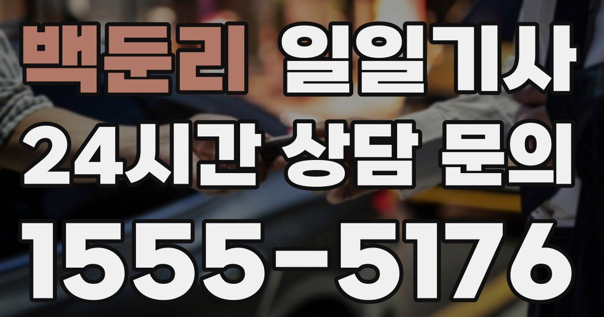 일일대리기사
