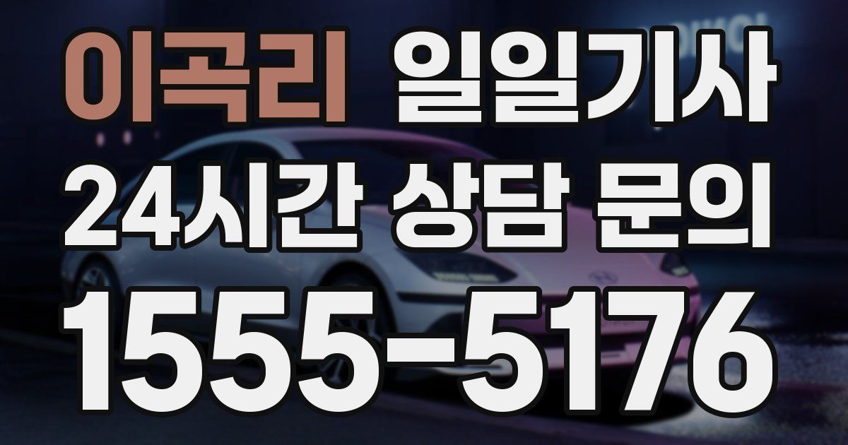 일일대리기사