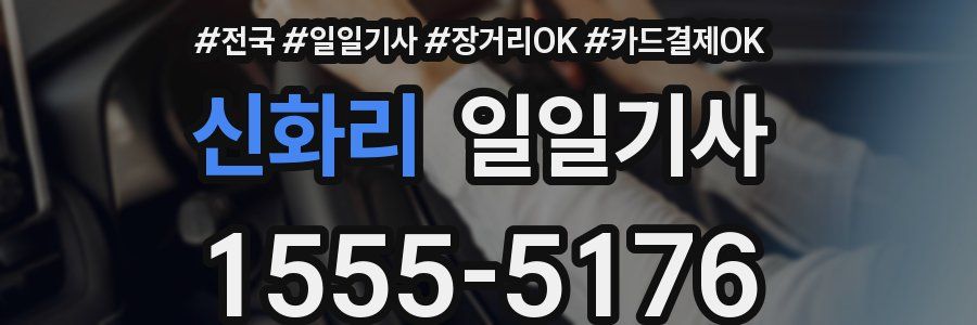 신화리 일일기사