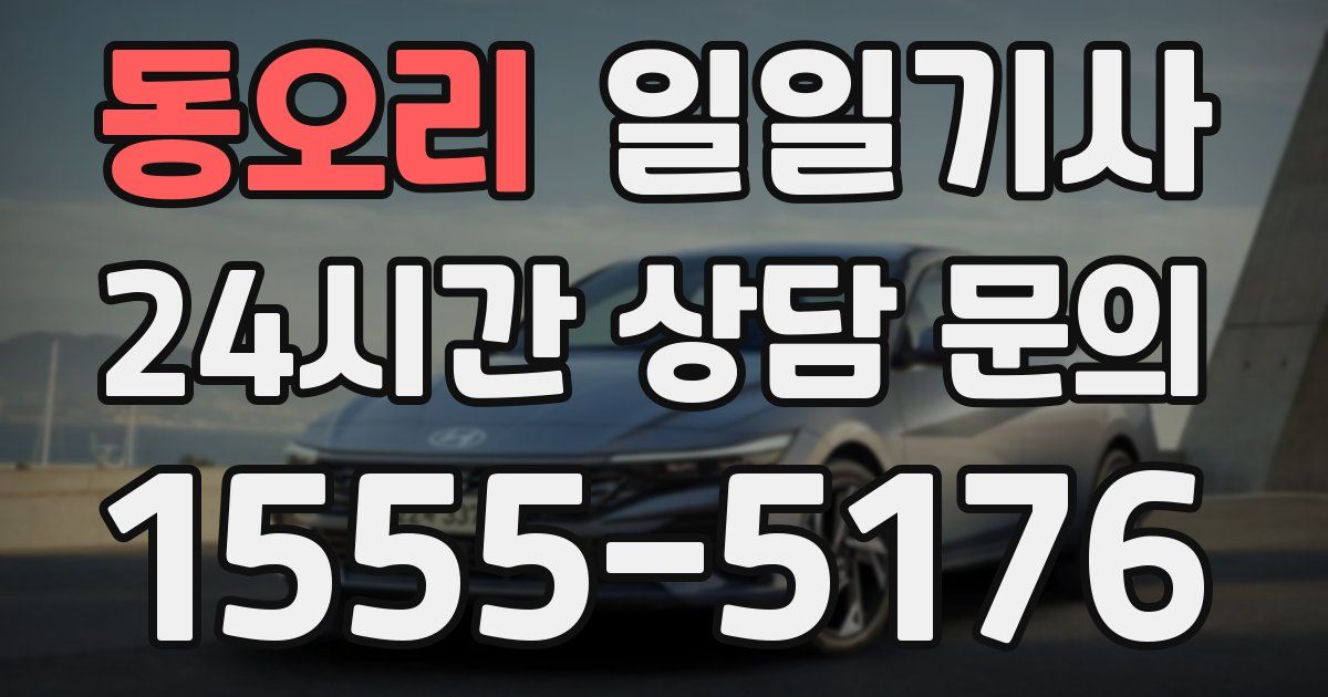 일일대리기사