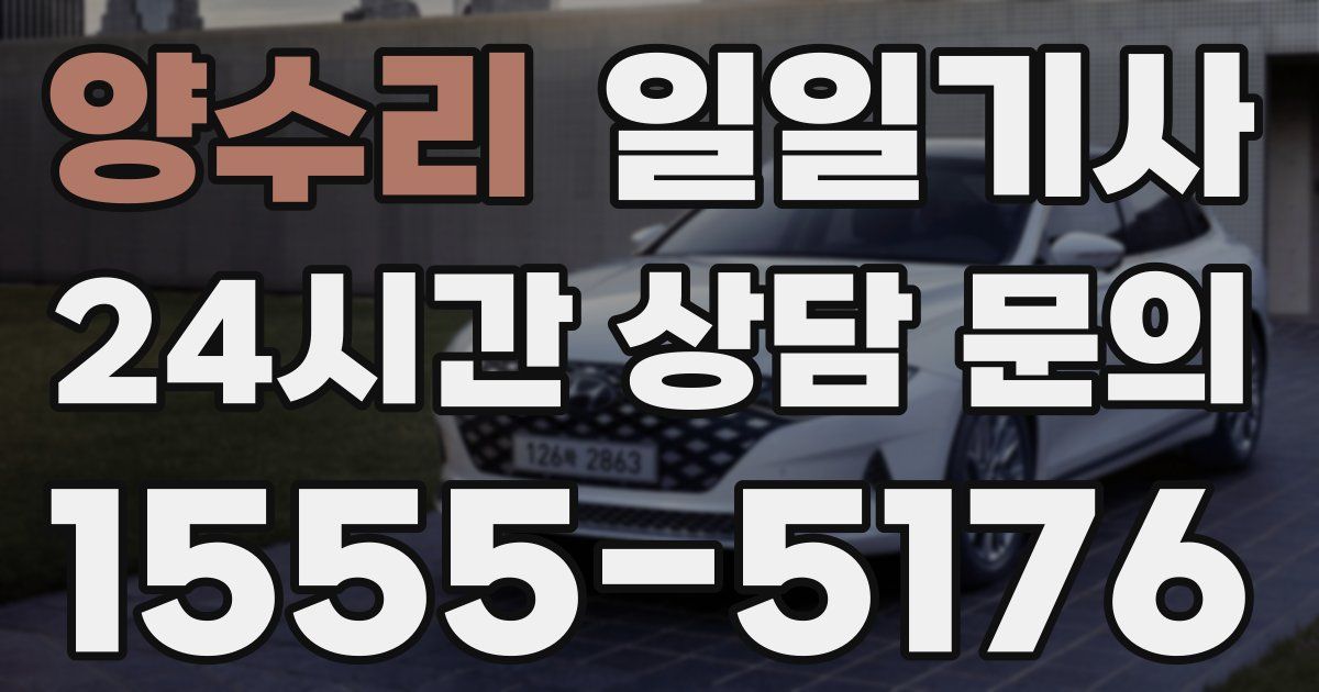 일일대리기사