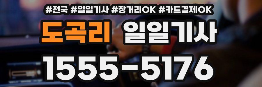 도곡리 일일기사