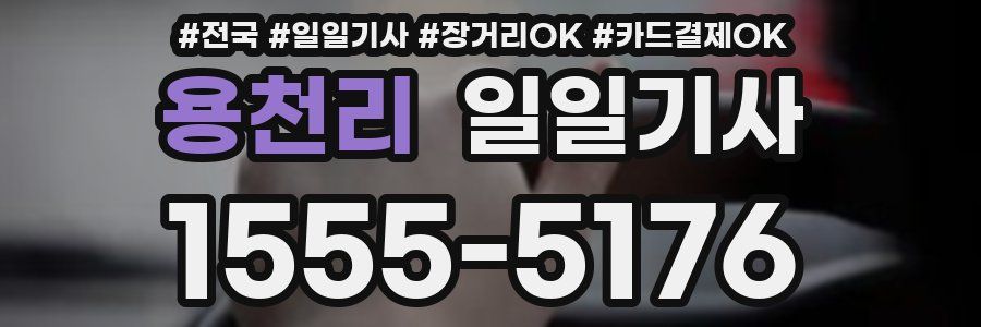 용천리 일일기사