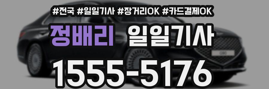 정배리 일일기사