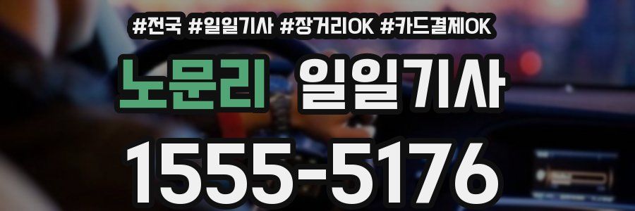 노문리 일일기사