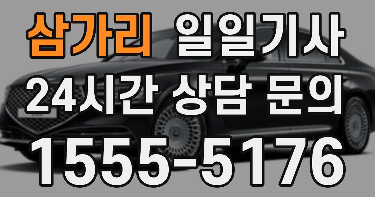 일일대리기사