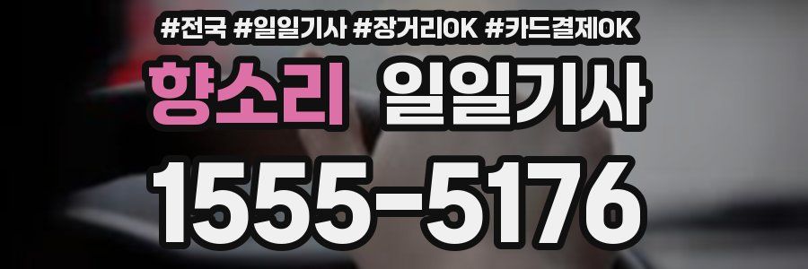 향소리 일일기사