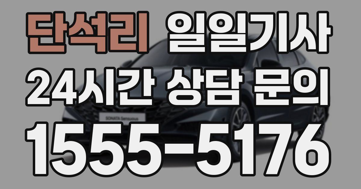 일일대리기사