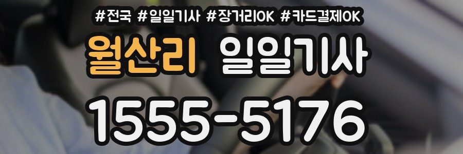 월산리 일일기사