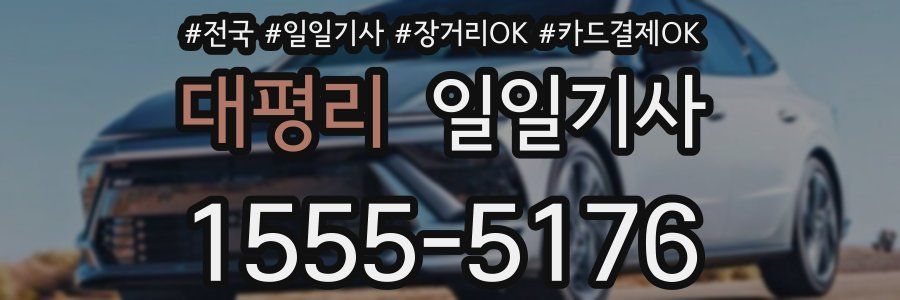 대평리 일일기사