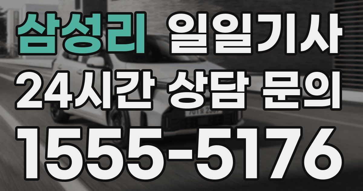 일일대리기사
