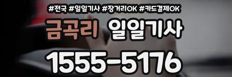 금곡리 일일기사