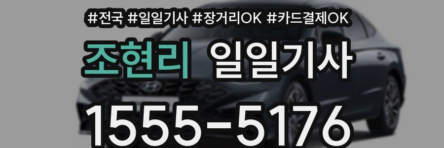 조현리 일일기사