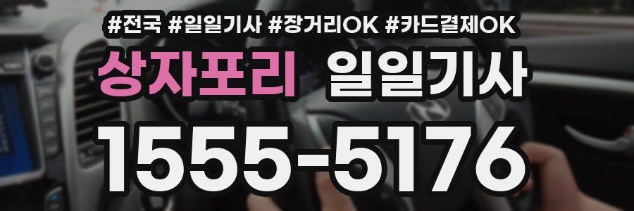 상자포리 일일기사