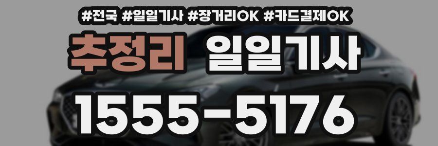 추정리 일일기사