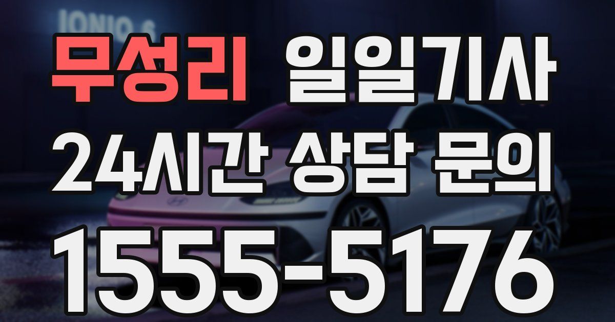 일일대리기사