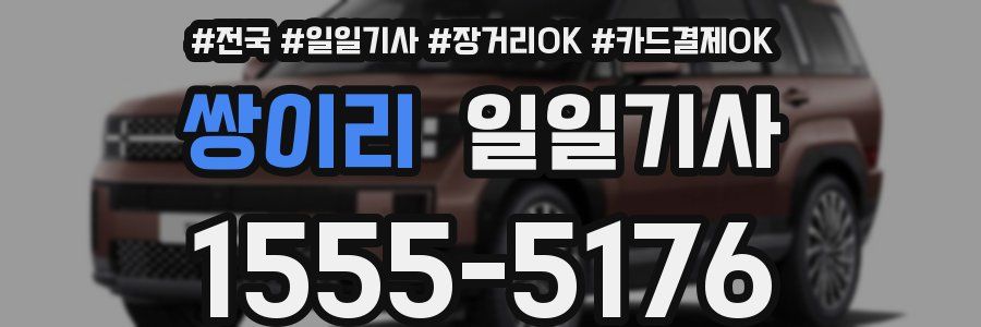 쌍이리 일일기사