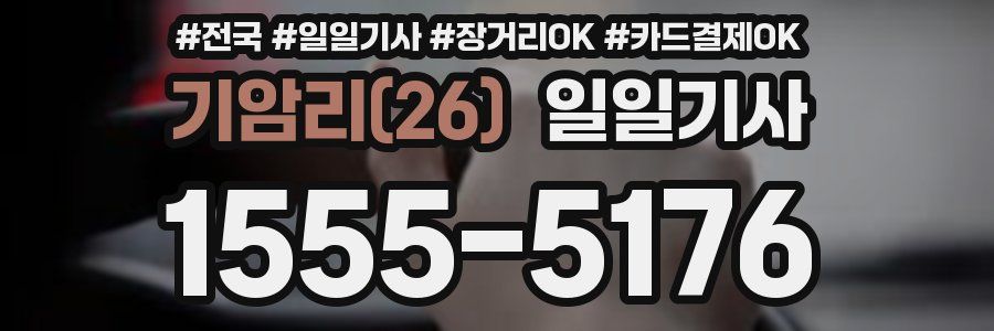 기암리(26) 일일기사
