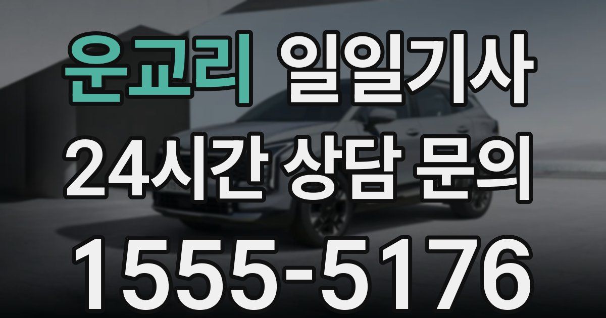 일일대리기사