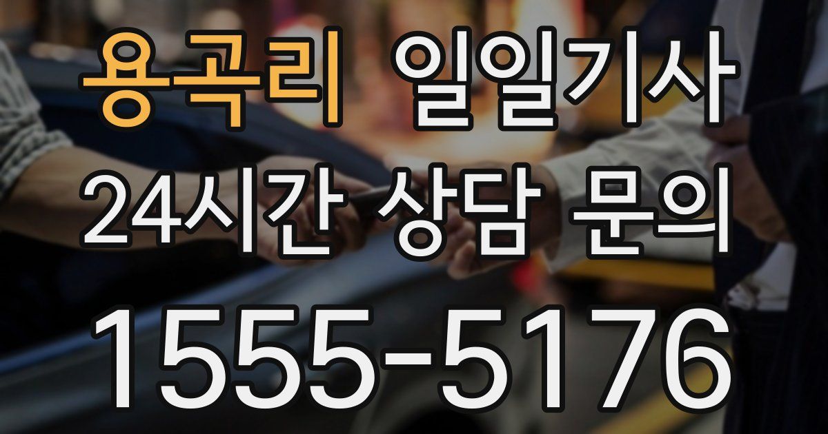 일일대리기사
