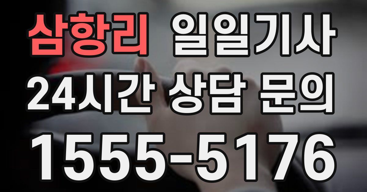 일일대리기사